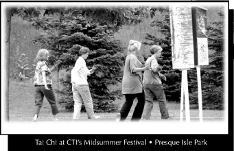 Tai Chi at CTI's Midsummer Festival - Presque Isle Park
