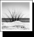 Writings on Spirituality and the Environment