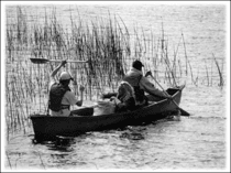 Planting wild rice in Marquette County
